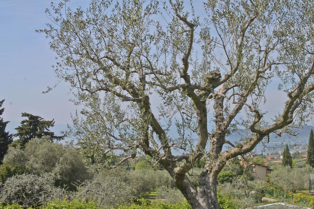 Lovely Villa Elena - Garda Lake Бардолино Экстерьер фото